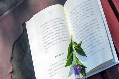 浙江大學(xué)在職研究生