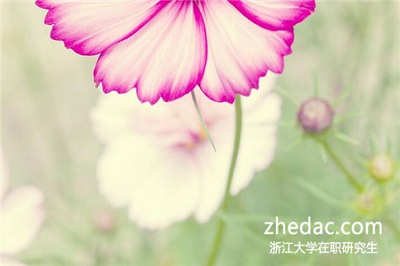浙江大學同等學力申碩畢業(yè)后可以獲得畢業(yè)證書嗎? 浙江大學同等學力申碩畢業(yè)后可以獲得畢業(yè)證書嗎?