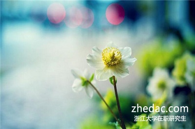 2018年報(bào)考浙江大學(xué)在職研究生有沒有用？