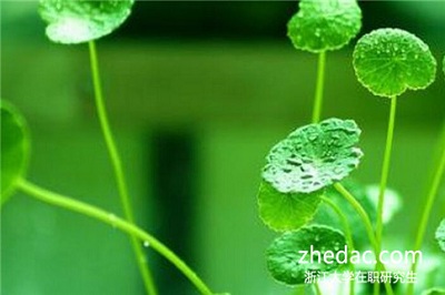 浙江大學(xué)在職研究生畢業(yè)可以獲得雙證嗎? 浙江大學(xué)在職研究生畢業(yè)可以獲得雙證嗎?