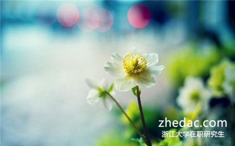 2018年浙江大學在職研究生在哪個網站報名？
