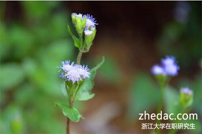 浙江大學(xué)在職研究生學(xué)費(fèi)會(huì)很貴嗎?